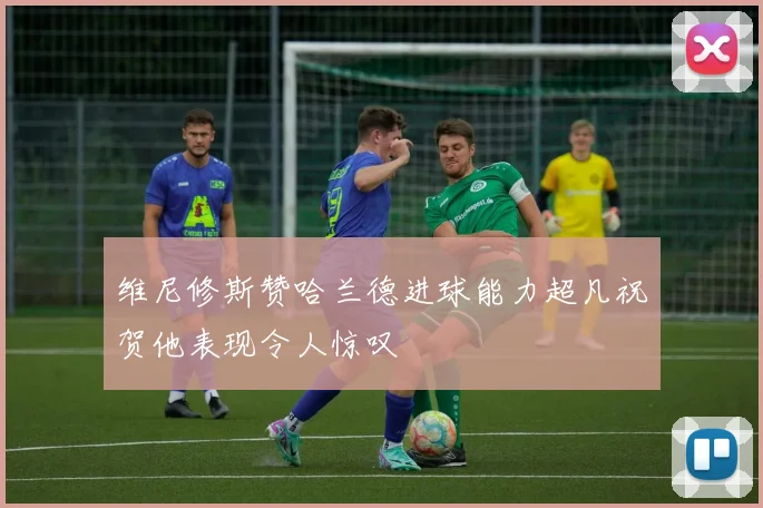 维尼修斯赞哈兰德进球能力超凡祝贺他表现令人惊叹