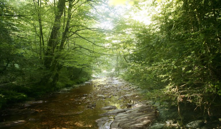 5 Lugares Donde Conectar con la Naturaleza en España